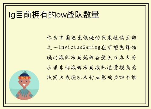 ig目前拥有的ow战队数量